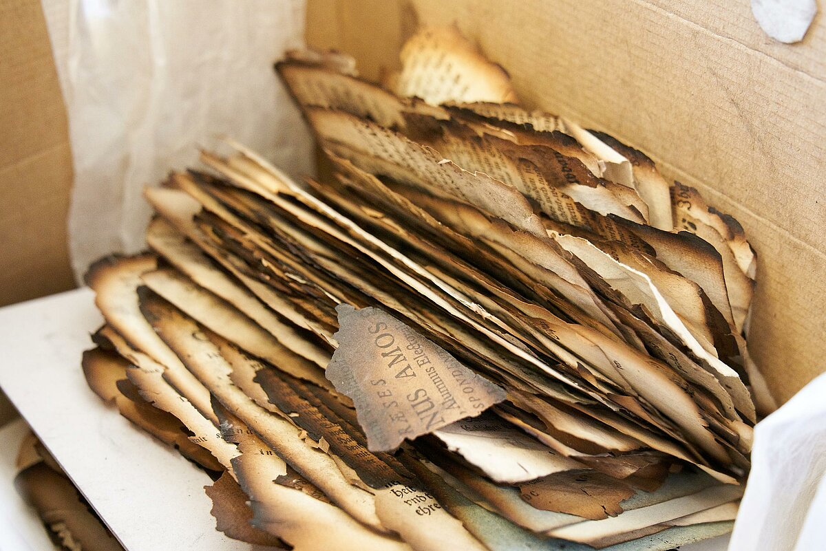 Konvolut nach dem Brand der Herzogin Anna Amalia Bibliothek gesammelter Einzelseiten. Foto: Hannes Bertram