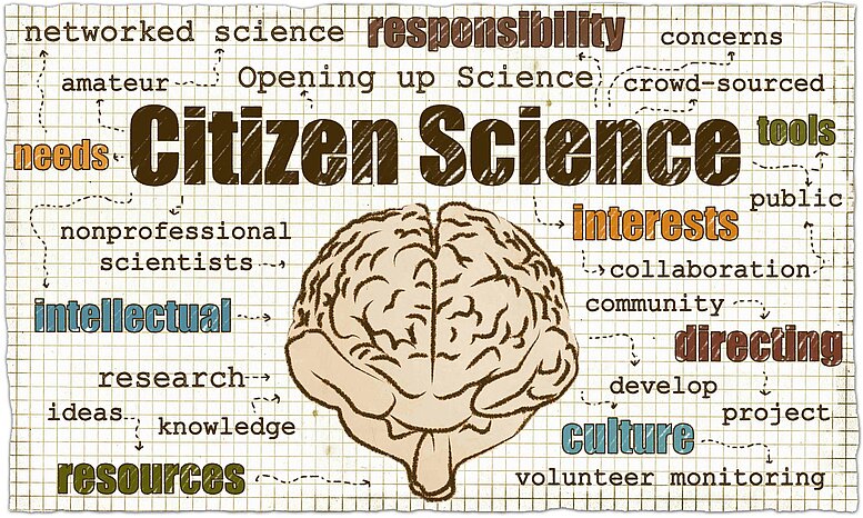 Die Bedeutung des strategischen Vorgehens bei der Vermarktung von Citizen-Science-Projekten an Wissenschaftlichen Bibliotheken wird in der Praxis häufig unterschätzt. Foto:T.L.Furrer – stock.adobe.com