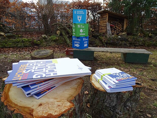In den Projekten, die im Rahmen der Deutschen Aktionstage Nachhaltigkeit vorgestellt werden, soll der Bezug zu den 17 Nachhaltigkeitszielen hergestellt werden. Foto: Matheo Mareski-Iffländer