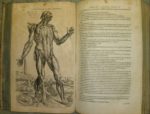 vesalius-150x114.jpg