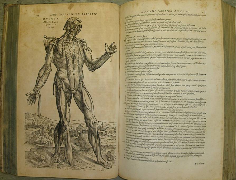 vesalius.jpg